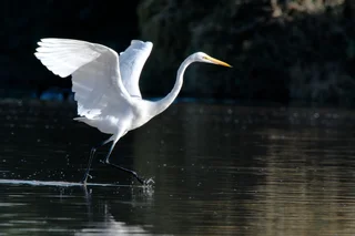 Photograph captured November 19, 2012